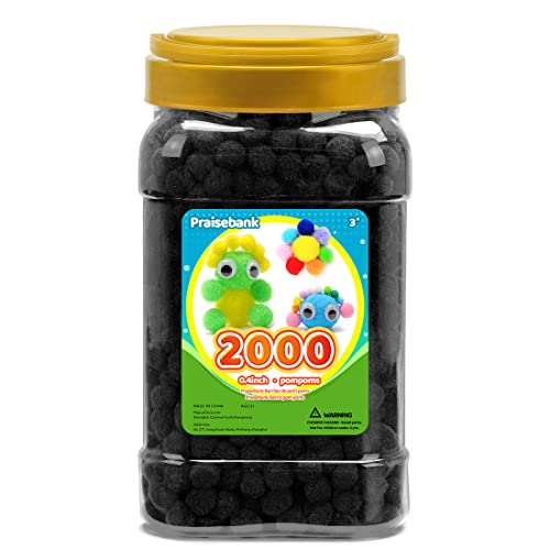 Praisebank Schwarze Pompons – 2000 Stück, 1 cm, ideal für Kunst und Handwerk, Pompom-Bälle im Glas Praisebank Schwarze Pompons – 2000 Stück, 1 cm, ideal für Kunst und Handwerk, Pompom-Bälle im Glas von Praisebank