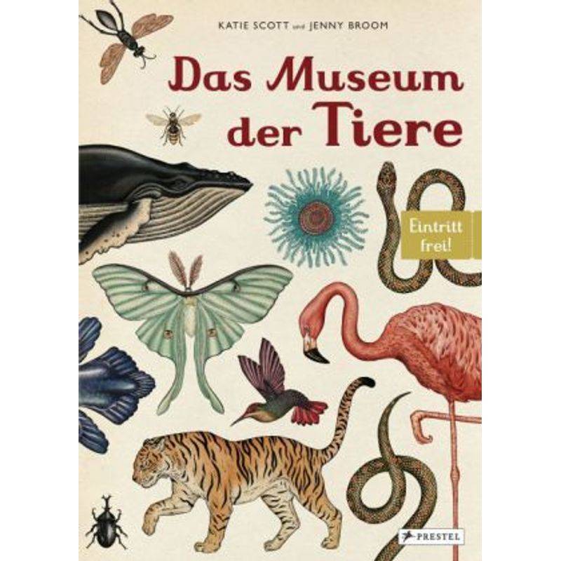Das Museum Der Tiere - Jenny Broom, Katie Scott, Gebunden von Prestel