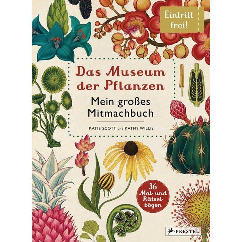 Das Museum Der Pflanzen. Mein Mitmachbuch - Kathy Willis, Gebunden von Prestel