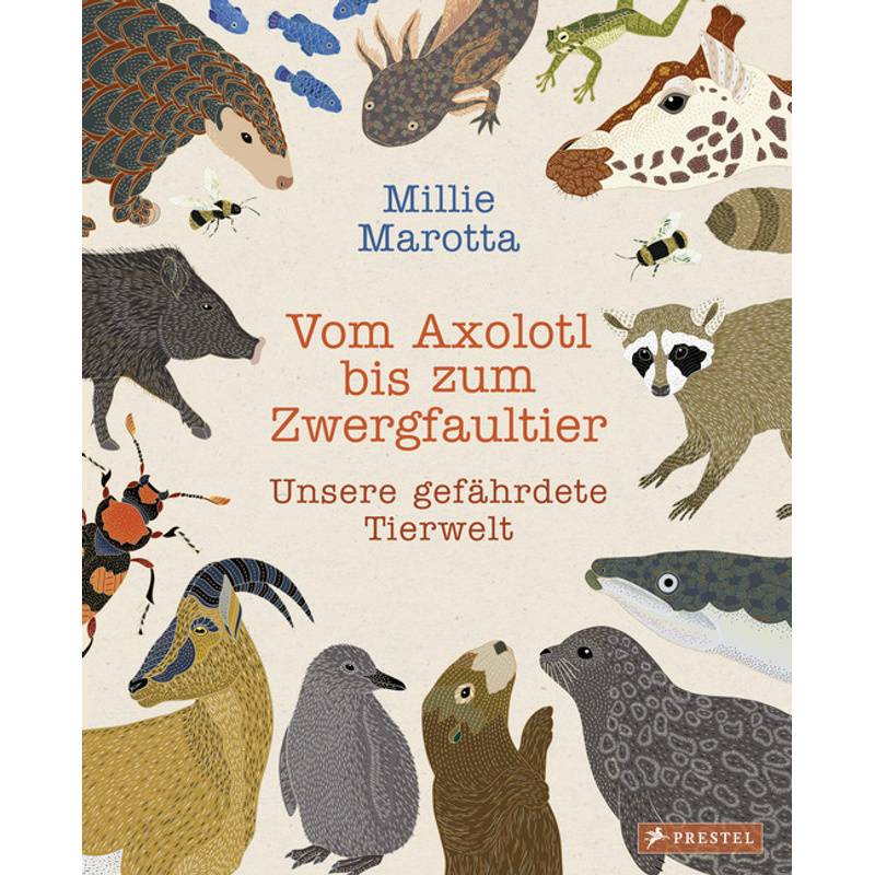 Vom Axolotl Zum Zwergfaultier - Millie Marotta, Gebunden von Prestel