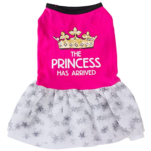 Prettiee 1er-Pack Haustierrock, Hundekleidung, Netzstoff, Flauschiger Rock, Haustierrock, süß, lässig (Rosenrot, XL) von Prettiee