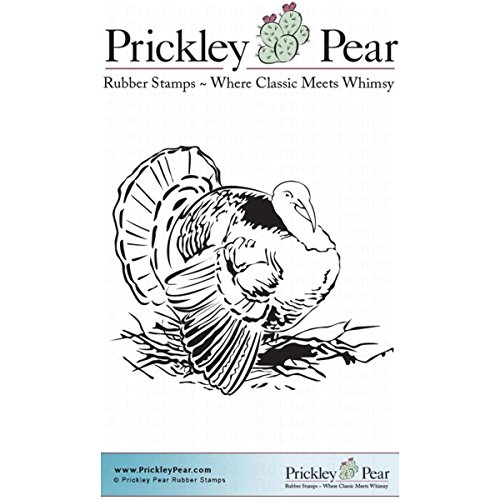 Prickley Pear Haftstempel, 7,6 x 7,6 cm, Mehrfarbig, 0.64 x 8.26 x 15.24 cm von Prickley Pear