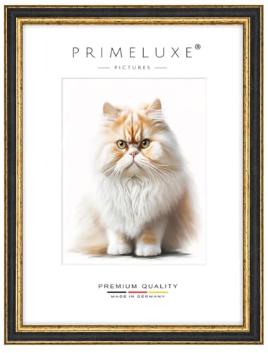PrimeLuxe Massiv Holz Bilderrahmen - Maßanfertigung 25 x 25 cm quadratisch in Alt-Schwarz Gold | Größe wählbar | mit entspiegeltem Acrylglas | Rahmen für Poster | Puzzle | Foto collage von PrimeLuxe