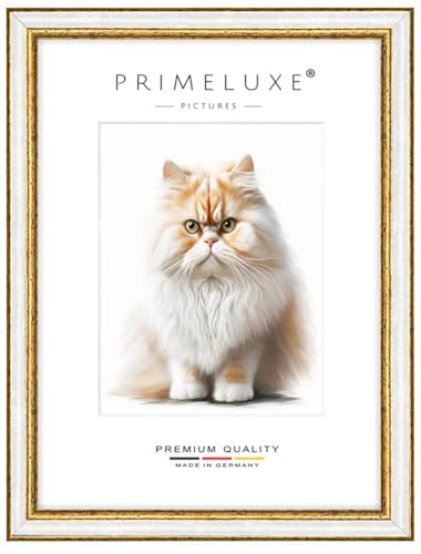 PrimeLuxe Massiv Holz Bilderrahmen - Maßanfertigung 33 x 60 cm in Alt-Weiß Gold | Größe wählbar | mit entspiegeltem Acrylglas | Rahmen für Poster | Puzzle | Foto collage PrimeLuxe Massiv Holz Bilderrahmen - Maßanfertigung 33 x 60 cm in Alt-Weiß Gold | Größe wählbar | mit entspiegeltem Acrylglas | Rahmen für Poster | Puzzle | Foto collage von PrimeLuxe