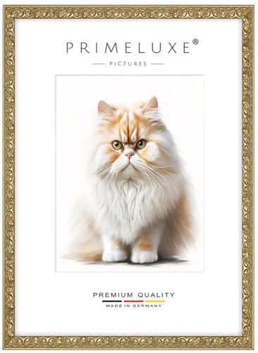 PrimeLuxe Massiv Holz Bilderrahmen - Maßanfertigung 50 x 75 cm in Alt-Gold | Größe wählbar | mit entspiegeltem Acrylglas | Rahmen für Poster | Puzzle | Foto collage PrimeLuxe Massiv Holz Bilderrahmen - Maßanfertigung 50 x 75 cm in Alt-Gold | Größe wählbar | mit entspiegeltem Acrylglas | Rahmen für Poster | Puzzle | Foto collage von PrimeLuxe