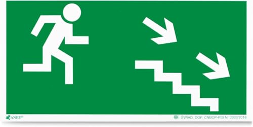 Photolumineszierendes PVC-Feuerlöscher-Schild – 10 x 10 cm, Rettungsschild für Brandschutz und Notfallsituationen – Feuerlöscher mit Flamme (Grün, Die Treppe hinunter (rechts) 30x15cm) von Printima