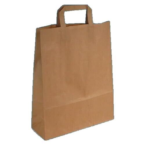 250 Papiertragetaschen Bio Papiertüten mit Flachhenkel braun 90g/m² extrastark nassfest versch. Größen - Inkl. VerpG in D (26+17x25cm) von Pro DP