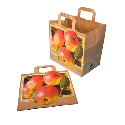 250 Papiertragetaschen Papiertüten Einkaufstüten Tragetaschen aus Papier, nassfest, mit Apfel Motiv, für Äpfel, Obst, braun, 26+17x25cm - Inkl. VerpG in D von Pro DP