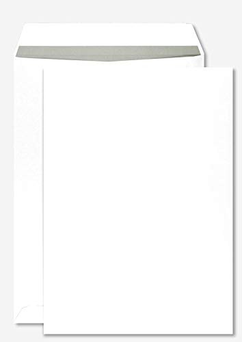 Netuno 50 Versandtaschen DIN B4 Weiß mit grauem Innendruck 250 x 353 mm 100g große Geschäfts-Umschläge gerade Klappe haftklebend ohne Fenster Brief-Umschläge Großbrief Format B4 Briefhüllen groß von Netuno