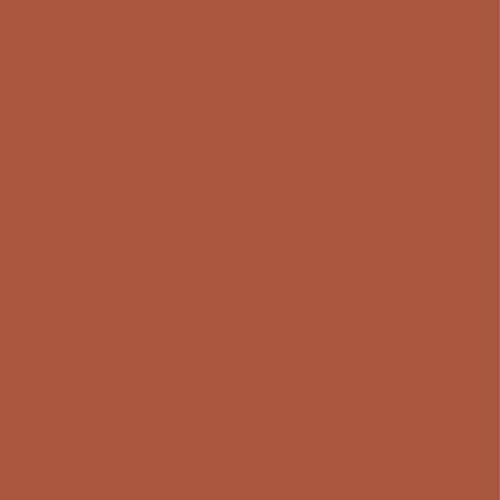 Prym 903624 Schrägband Duchesse, nougat, Polyester, 20 mm Falzung: 40/20 mm | 30 m Prym 903624 Schrägband Duchesse, nougat, Polyester, 20 mm Falzung: 40/20 mm | 30 m von Prym