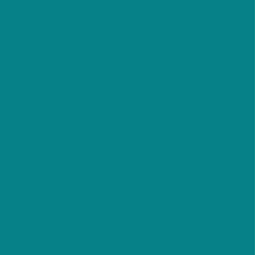 Prym 903649 Schrägband Duchesse, türkisgrün, 100% PES, 20 mm Falzung: 40/20 mm | 30 m Prym 903649 Schrägband Duchesse, türkisgrün, 100% PES, 20 mm Falzung: 40/20 mm | 30 m von Prym