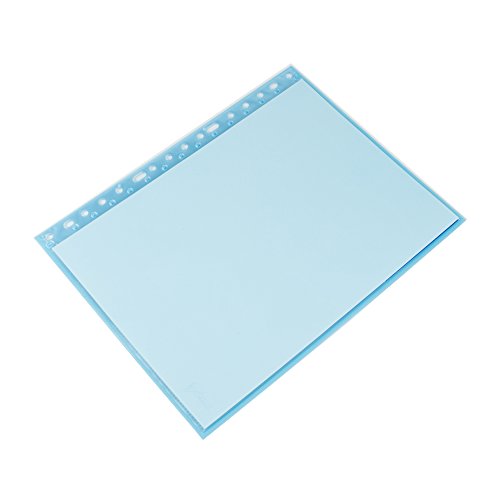 Pryse 4220001 Dossier mit 10 Hüllen A4 blau von Pryse