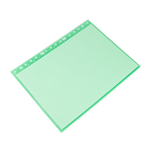 Pryse 4220003 Dossier mit 10 Hüllen A4 grün von Pryse