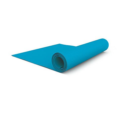 Pryse 5070550 – Rolle aus Vliesstoff, 0.81 x 25 m, hellblau von Pryse