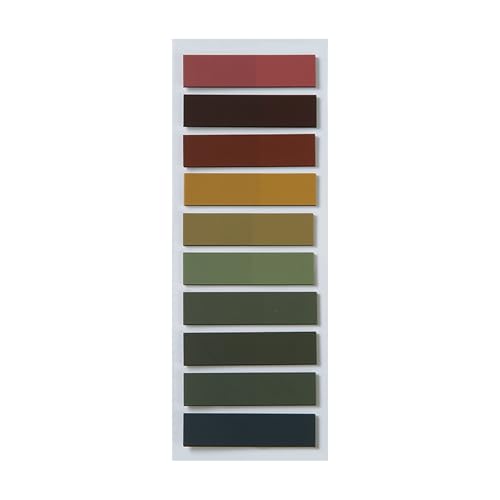 Bunte Haftnotizen Klebe-Seitenmarker Sticky Pad Transluzenz Indexe Tabs Memos Pad Ästhetische Indexe Aufkleber Bunte Notizen Memos Transluzenz Tabs Selbstklebende Seitenmarkierungen von Psdndeww