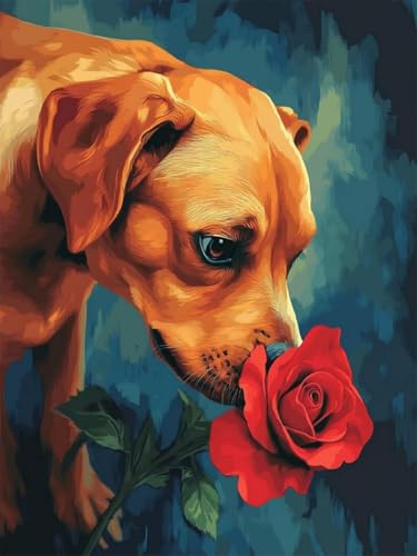 Pskgbxmu Vorgedruckt Kreuzstich Set Hund küsst Blumen DIY Stickvorlagen 11CT Stickbilder Zum Sticken Starter Set FüR Erwachsene Kinder AnfäNger 40x50 cm Pskgbxmu Vorgedruckt Kreuzstich Set Hund küsst Blumen DIY Stickvorlagen 11CT Stickbilder Zum Sticken Starter Set FüR Erwachsene Kinder AnfäNger 40x50 cm von Pskgbxmu