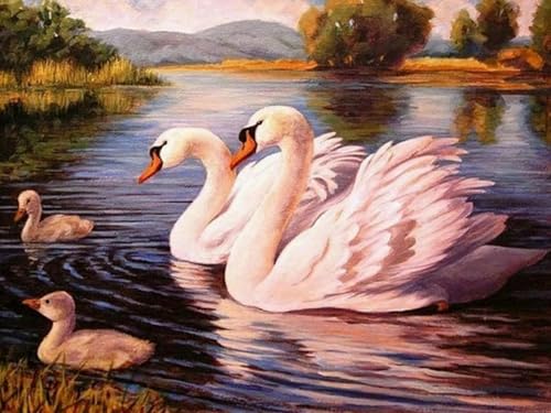 Pskgbxmu Vorgedruckt Kreuzstich Set Schwan 11CT AnfäNger Kreuzstich Stickpackungen Stickbild Set für für Wandkunst-Heimdekoration 40x50 cm Pskgbxmu Vorgedruckt Kreuzstich Set Schwan 11CT AnfäNger Kreuzstich Stickpackungen Stickbild Set für für Wandkunst-Heimdekoration 40x50 cm von Pskgbxmu