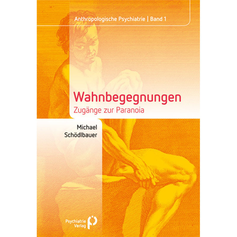 Wahnbegegnungen - Michael Schödlbauer, Gebunden von Psychiatrie-Verlag
