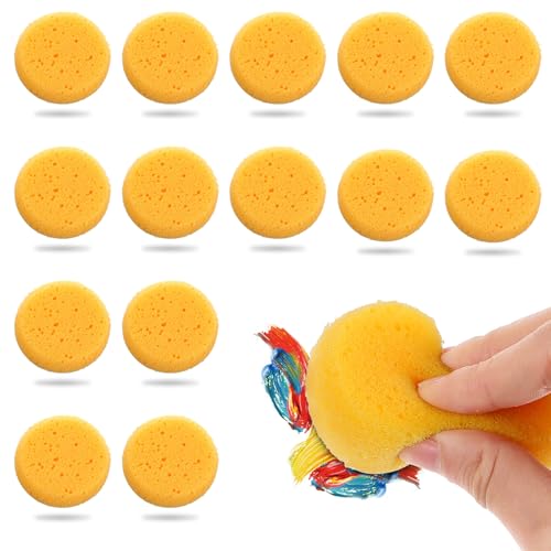 15 Stück Malschwamm Malen Runder Schwamm Töpfermal Aquarellschwämme Weich Kinder Malerei Schwämmchen für Töpferkunst Basteln Töpfern Ton Gesichtsbemalung Keramik von Ptwola