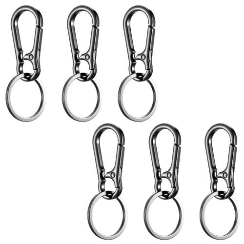 Ptwola 6 Stück kleine Schlüsselanhänger-Ringe, Metall-Karabiner, Schlüsselanhänger, Clip-Halter, Organizer, Schlüsselanhänger, Geldbörse, Charm-Haken für Zuhause, Autoschlüssel, Schlüsselfinder, für Ptwola 6 Stück kleine Schlüsselanhänger-Ringe, Metall-Karabiner, Schlüsselanhänger, Clip-Halter, Organizer, Schlüsselanhänger, Geldbörse, Charm-Haken für Zuhause, Autoschlüssel, Schlüsselfinder, für von Ptwola
