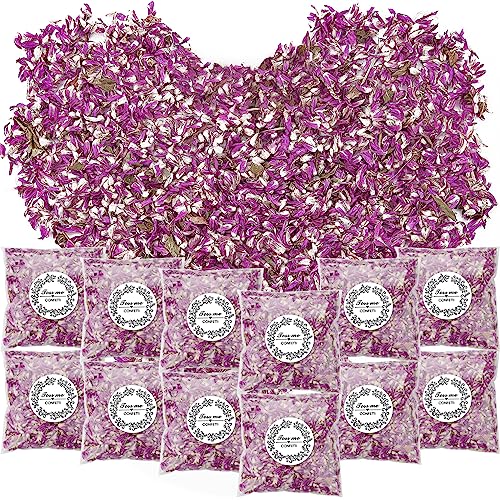 PuretéavHom 12er Pack Blütenkonfetti Hochzeit Natürliches Streublumen Hochzeit Rosenblüten Getrocknet Blütenblätter Hochzeit Biologisch Abbaubares Konfetti für Geburtstag Party DIY Deko PuretéavHom 12er Pack Blütenkonfetti Hochzeit Natürliches Streublumen Hochzeit Rosenblüten Getrocknet Blütenblätter Hochzeit Biologisch Abbaubares Konfetti für Geburtstag Party DIY Deko von PuretéavHom