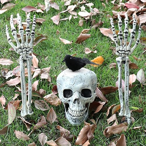 QADWJC Halloween Skelett Dekorationen,Halloween Skelett Deko,mit gefälschtem Schädelkopf,Totenkopf,Handkrähe,Skelett Halloween Dekorationen Outdoor,Garten Dekorationen,Friedhof Dekorationen. QADWJC Halloween Skelett Dekorationen,Halloween Skelett Deko,mit gefälschtem Schädelkopf,Totenkopf,Handkrähe,Skelett Halloween Dekorationen Outdoor,Garten Dekorationen,Friedhof Dekorationen. von QADWJC