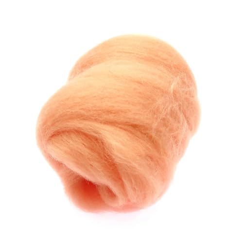Wolle zum Nadelfilzen 200 g Wollfaser for Nadelfilzen, Nassfilzen, Wollfilzen, handgefertigtes Spinnen, DIY-Bastelmaterial Für Anfänger(99) von QAUUCP