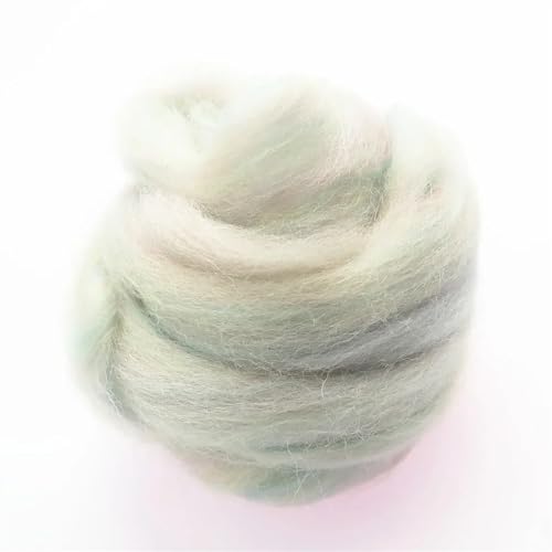 Wolle zum Nadelfilzen Filzwolle, Faserfilz, Stoff, Filz, Bastelfilz, Filzwolle, handgefertigt, Filzhandwerk Für Anfänger(31,20g) von QAUUCP