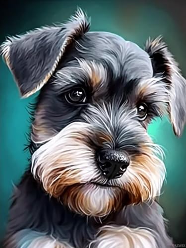 QAZWSX Diamond Painting Set Schnauzer Hund Malerei 5D Anfänger Diamant Kunst Set, DIY Malerei Diamant Home Wanddekoration Juwel Art Geschenk mit rundem Volldiamant 30,5 x 40,6 cm QAZWSX Diamond Painting Set Schnauzer Hund Malerei 5D Anfänger Diamant Kunst Set, DIY Malerei Diamant Home Wanddekoration Juwel Art Geschenk mit rundem Volldiamant 30,5 x 40,6 cm von QAZWSX