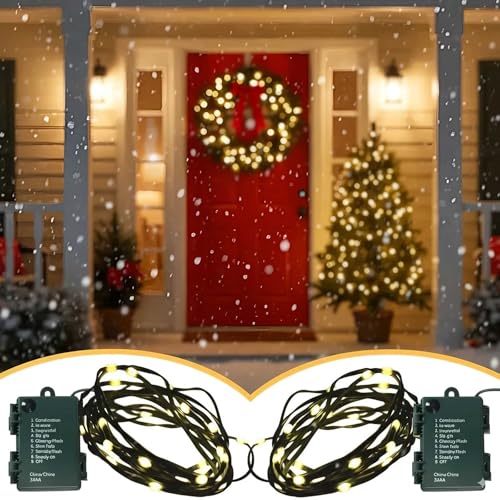 QBIS Warmweiße LED-Lichterkette, Weihnachtsbeleuchtung, Innen/Außen, wasserdichte Lichterkette auf grünem Draht, kleine funkelnde Multifunktions-LEDs, Timer (batteriebetrieben, 30 LEDs (2 Pack)) von QBIS