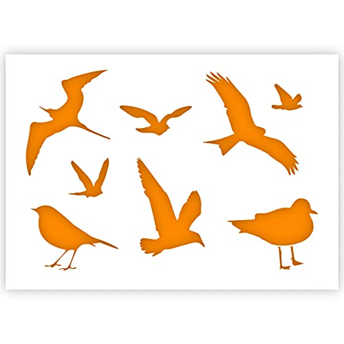 QBIX Vogel Schablone - Vogel Silhouetten - Möwe Schablone - A5 Größe - wiederverwendbare DIY Schablone zum Malen, Backen, Basteln, Wand, Möbel von QBIX