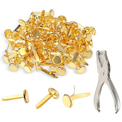 100 Stück Mini Brads Musterbeutelklammern, Scrapbooking Brads, Mini Runde Brads, Metall Musterbeutelklammern, Mini Brads Papierverschlüsse, für DIY Schulbüro Basteln Dekorationenherstellung von QEEROYO