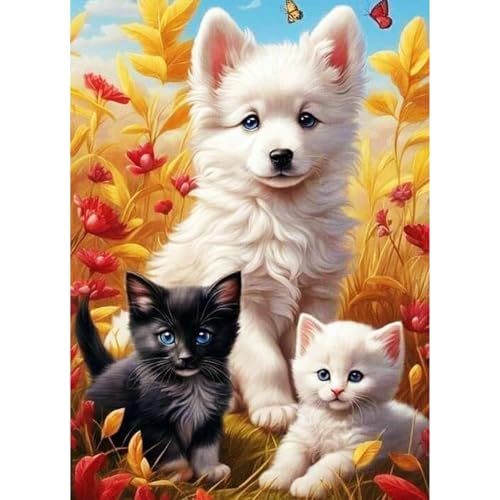 QENSPE 5D Diamond Painting Katzen Komplett, Hunde Diamond Painting Set für Erwachsene, Tier Diamond Art Malerei DIY Diamant Kunst Handwerk für Anfänger Wand Dekor 30x40 cm QENSPE 5D Diamond Painting Katzen Komplett, Hunde Diamond Painting Set für Erwachsene, Tier Diamond Art Malerei DIY Diamant Kunst Handwerk für Anfänger Wand Dekor 30x40 cm von QENSPE