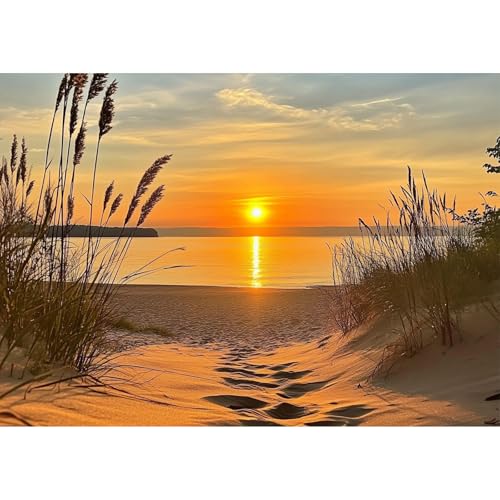 QENSPE Diamond Painting Sonnenuntergang Strand, Diamond Art Set Erwachsene, Kristall Diamant Malerei DIY Diamant Kunst Handwerk für Haus Zimmer Wand Dekor 30x40cm QENSPE Diamond Painting Sonnenuntergang Strand, Diamond Art Set Erwachsene, Kristall Diamant Malerei DIY Diamant Kunst Handwerk für Haus Zimmer Wand Dekor 30x40cm von QENSPE