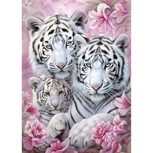QENSPE Diamond Painting Weiße Tiger Diamant Painting 5D Diamond Malerei Kit Erwachsene Tiere Full Diamant Art Malerei Stickerei Set Kreuzstich Bilder Set Home Wand Dekor 30x40cm QENSPE Diamond Painting Weiße Tiger Diamant Painting 5D Diamond Malerei Kit Erwachsene Tiere Full Diamant Art Malerei Stickerei Set Kreuzstich Bilder Set Home Wand Dekor 30x40cm von QENSPE