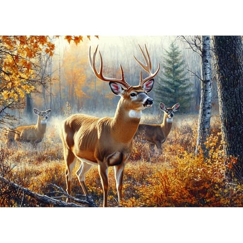 QENSPE Elch Diamond Painting, Wald Diamond Art Set Erwachsene, Kristall Diamant Kunst mit Werkzeugen DIY Handwerk für Haus Zimmer Wand Dekor 30x40cm von QENSPE