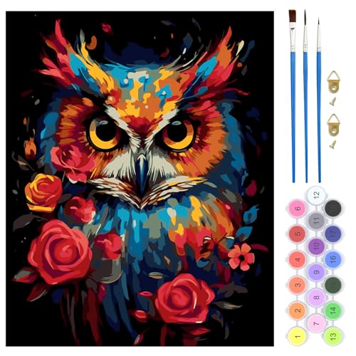QENSPE Malen Nach Zahlen Set Bunte Eule, Malen Nach Zahlen für Erwachsene Tier, DIY Paint by Numbers für Anfänger mit Pinseln, Wand Kunst Dekor Geschenke 40x50cm, Rahmenlos QENSPE Malen Nach Zahlen Set Bunte Eule, Malen Nach Zahlen für Erwachsene Tier, DIY Paint by Numbers für Anfänger mit Pinseln, Wand Kunst Dekor Geschenke 40x50cm, Rahmenlos von QENSPE