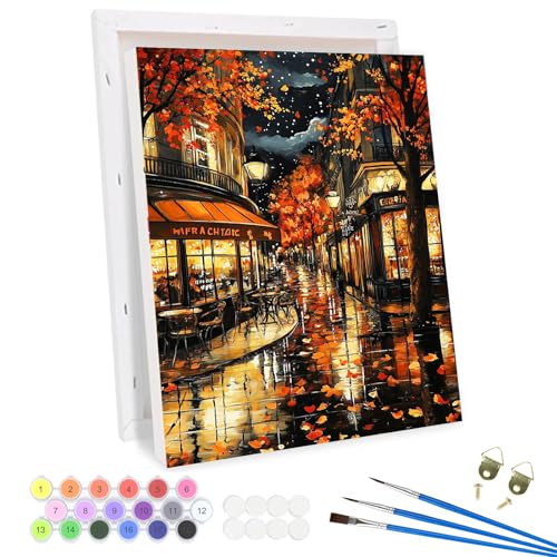 QENSPE Malen nach Zahlen Erwachsene mit Rahmen, Paris bei Nacht, DIY Gemälde auf Leinwand Paint by Numbers Kit Framed mit 3 Pinsel und Acryl-Pigment für Haus Wanddekoration Geschenk 30x40cm von QENSPE