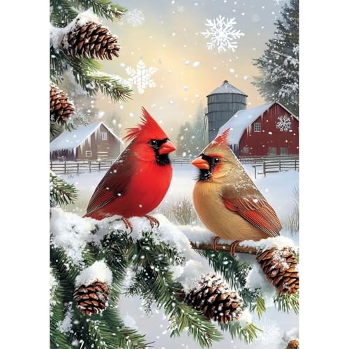 QENSPE Weihnachts Diamond Painting für Erwachsene, Winter Vögel Diamant Kunst, Rund Vollbohrer Kristall Kreuzstich, Diamants Malset Kunsthandwerk für Hause Wand Dekoration (30 x 40 cm) von QENSPE