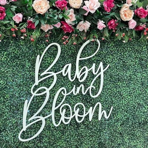 QENWWENG Holzschild in Blüte, 43,2 x 35,6 cm, Babyparty-Aufkleber für Jungen/Mädchen, Dekoration, Geschlechtsoffenbarung, Fotografie-Hintergrund von QENWWENG