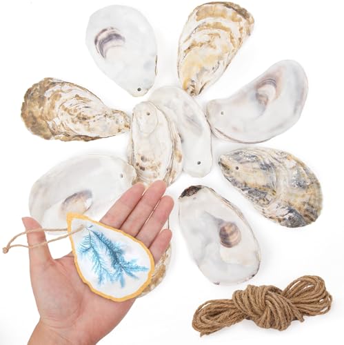 Austernmuscheln zum Basteln mit gebohrten Löchern und Juteseil, flache Austernmuscheln, Ornamente, für Heimdekoration, Weihnachtsschmuck, DIY Kunst und Handwerk, 25 Stück Austernmuscheln zum Basteln mit gebohrten Löchern und Juteseil, flache Austernmuscheln, Ornamente, für Heimdekoration, Weihnachtsschmuck, DIY Kunst und Handwerk, 25 Stück von QEQEKAKA