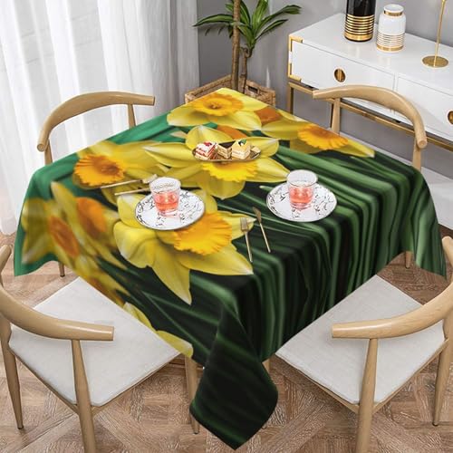Gelbe Narzissen-Blumen, quadratische Tischdecke, wasserabweisend und knitterfrei, dekorative Tischdecke, geeignet für Hochzeiten im Innen- und Außenbereich, Hochzeiten, Partys, Picknicks, Dekorationen Gelbe Narzissen-Blumen, quadratische Tischdecke, wasserabweisend und knitterfrei, dekorative Tischdecke, geeignet für Hochzeiten im Innen- und Außenbereich, Hochzeiten, Partys, Picknicks, Dekorationen von QGGHNISD