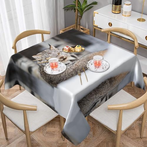 QGGHNISD Canada Lynx Tischdecke, quadratisch, wasserabweisend und knitterfrei, dekorative Tischdecke, geeignet für Hochzeiten im Innen- und Außenbereich, Hochzeiten, Partys, Picknicks, Dekorationen im QGGHNISD Canada Lynx Tischdecke, quadratisch, wasserabweisend und knitterfrei, dekorative Tischdecke, geeignet für Hochzeiten im Innen- und Außenbereich, Hochzeiten, Partys, Picknicks, Dekorationen im von QGGHNISD