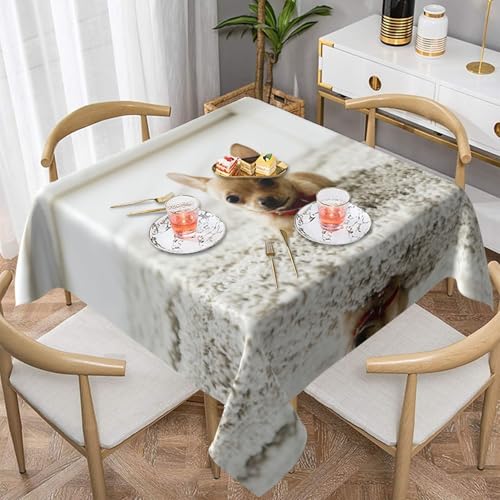 QGGHNISD Quadratische Tischdecke, niedliche Chihuahua-Tischdecke, wasserabweisend und knitterfrei, dekorative Tischdecke, geeignet für Hochzeiten im Innen- und Außenbereich, Hochzeiten, Partys QGGHNISD Quadratische Tischdecke, niedliche Chihuahua-Tischdecke, wasserabweisend und knitterfrei, dekorative Tischdecke, geeignet für Hochzeiten im Innen- und Außenbereich, Hochzeiten, Partys von QGGHNISD