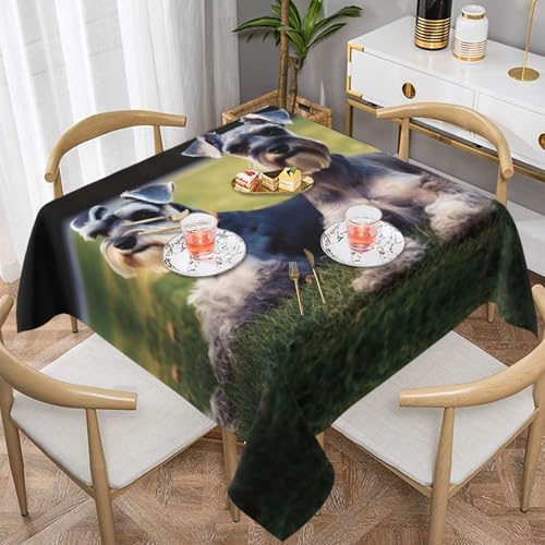 Quadratische Tischdecke für Erwachsene, Schnauzer-Hunde, wasserabweisend und knitterfrei, dekorative Tischdecke, geeignet für Hochzeiten im Innen- und Außenbereich, Hochzeiten, Partys, Picknicks Quadratische Tischdecke für Erwachsene, Schnauzer-Hunde, wasserabweisend und knitterfrei, dekorative Tischdecke, geeignet für Hochzeiten im Innen- und Außenbereich, Hochzeiten, Partys, Picknicks von QGGHNISD