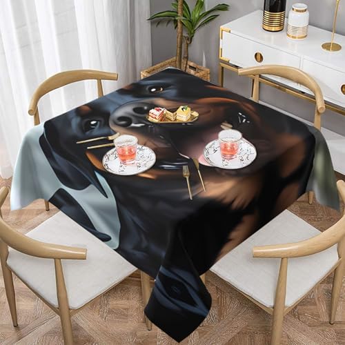 Rottweiler Tischdecke mit Hundezungenkopf-Design, quadratisch, wasserabweisend und knitterfrei, dekorative Tischdecke, geeignet für Hochzeiten im Innen- und Außenbereich, Hochzeiten, Partys, Picknicks Rottweiler Tischdecke mit Hundezungenkopf-Design, quadratisch, wasserabweisend und knitterfrei, dekorative Tischdecke, geeignet für Hochzeiten im Innen- und Außenbereich, Hochzeiten, Partys, Picknicks von QGGHNISD