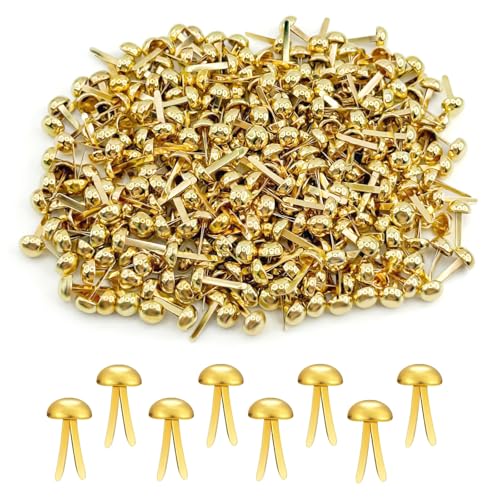 300 Stück Musterbeutelklammern,Rundkopfklammern Wiederverwendbar,Metall Papierverschlüsse,Metall Musterklammern Einfach zu Benutzen,Scrapbooking Brad für Schule Büro Basteln Handwerk DIY von QHSXMQ