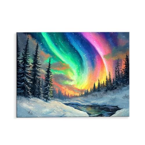 Malen Nach Zahlen Erwachsene Aurora Schnee, Malen Nach Zahlen Kits mit Pinseln und Acrylfarben, DIY Ölgemälde Set Malen Basteln Leinwand Anfänger, für Wohnzimmer Wanddeko 80 x 110 cm (ungerahmt) y-479 von QIANLUOO