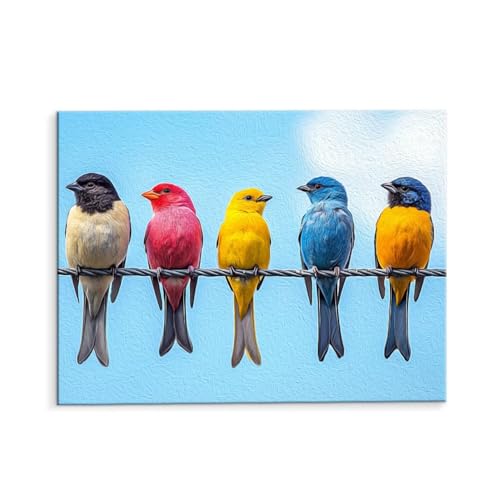Malen Nach Zahlen Erwachsene Farbige Vögel, Malen Nach Zahlen Kits mit Pinseln und Acrylfarben, DIY Ölgemälde Set Malen Basteln Leinwand Anfänger, Als Geschenk für Wanddeko, 35 x 50 cm (ungerahmt) y70 von QIANLUOO