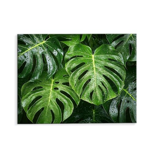 Malen Nach Zahlen Erwachsene Grüne Pflanzen, Malen Nach Zahlen Kits mit Pinseln und Acrylfarben, DIY Ölgemälde Set Malen Basteln Leinwand Anfänger, für Wohnzimmer Wanddeko 80 x 110 cm (ungerahmt) y606 von QIANLUOO